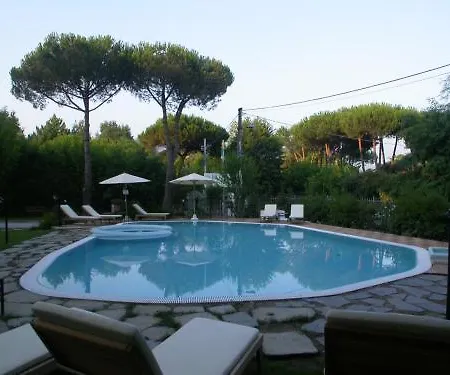 Nedy Hotel 3*
